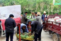 邢台任县吃瓜群众,吃瓜群众的欢乐时光