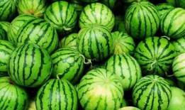 网络网爆吃瓜,揭秘娱乐圈幕后真相