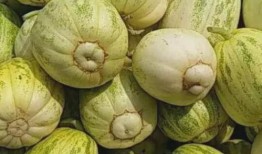 冬季吃果不吃瓜,冬季养生水果精选指南