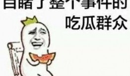 明星吃瓜群众文案素材,揭秘娱乐圈吃瓜群众的幕后故事