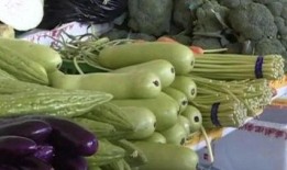 捧瓜带皮吃,尽享捧瓜带皮之乐