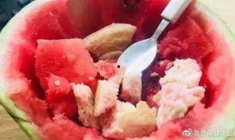 吃瓜群众时尚名字,揭秘吃瓜群众时尚名字背后的故事