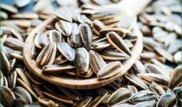 吃瓜嚼瓜子,揭秘吃瓜嚼瓜子的趣味时光