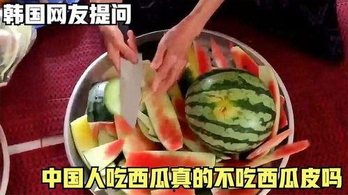 网友吃瓜韩国,网友吃瓜热议不断